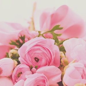 Meet your Posher, Lillian